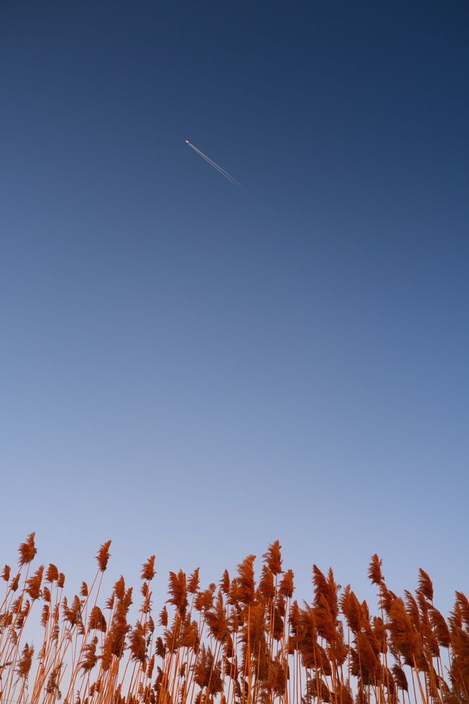 Photograph by Яна Истоцкая