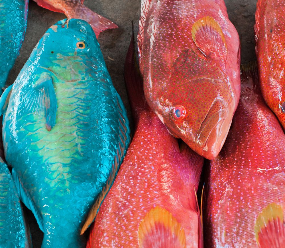 Фотография автора Людмила Прокофьева