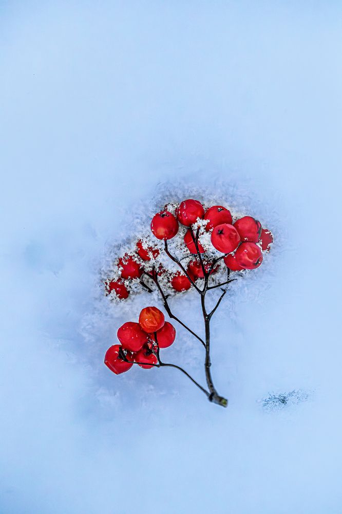 Photograph by Юлия Куликова