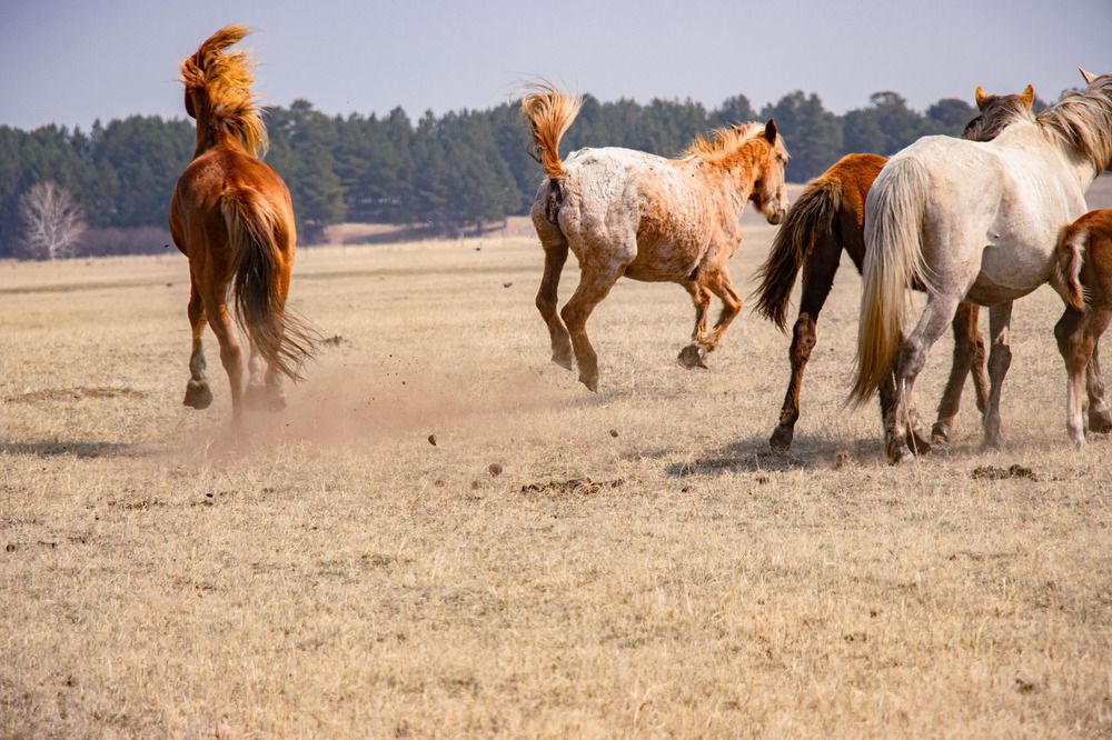 Photograph by - Баялигэ