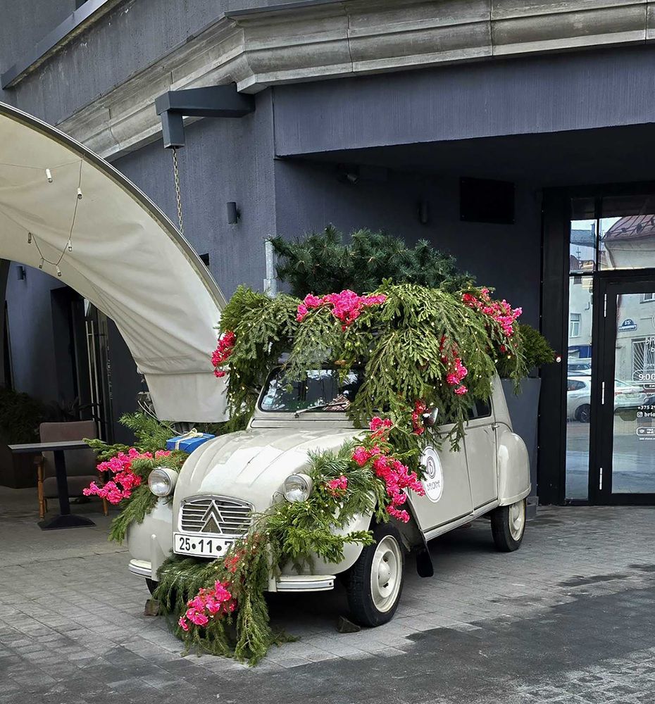 Photograph by Шкарупа Тамара