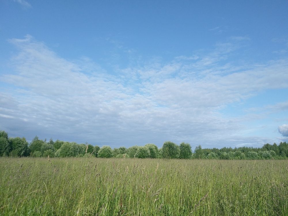Photograph by Инна Голубева