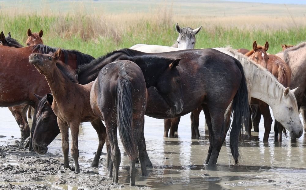 Photograph by Марина