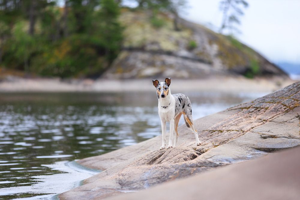 Photograph by Татьяна Фролова