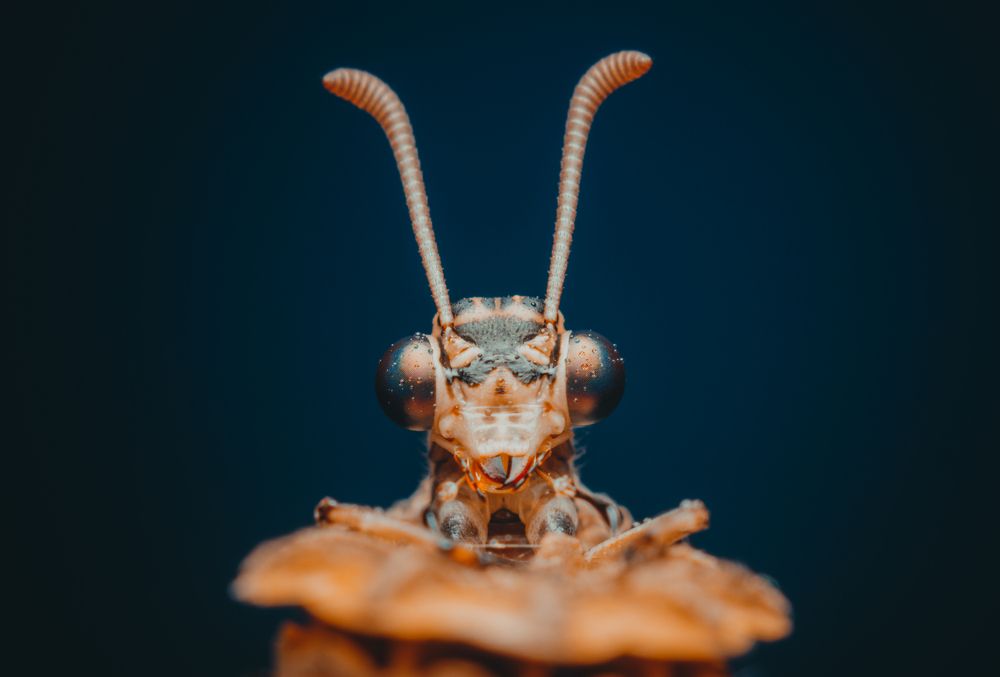 Photograph by Максим Юрлов
