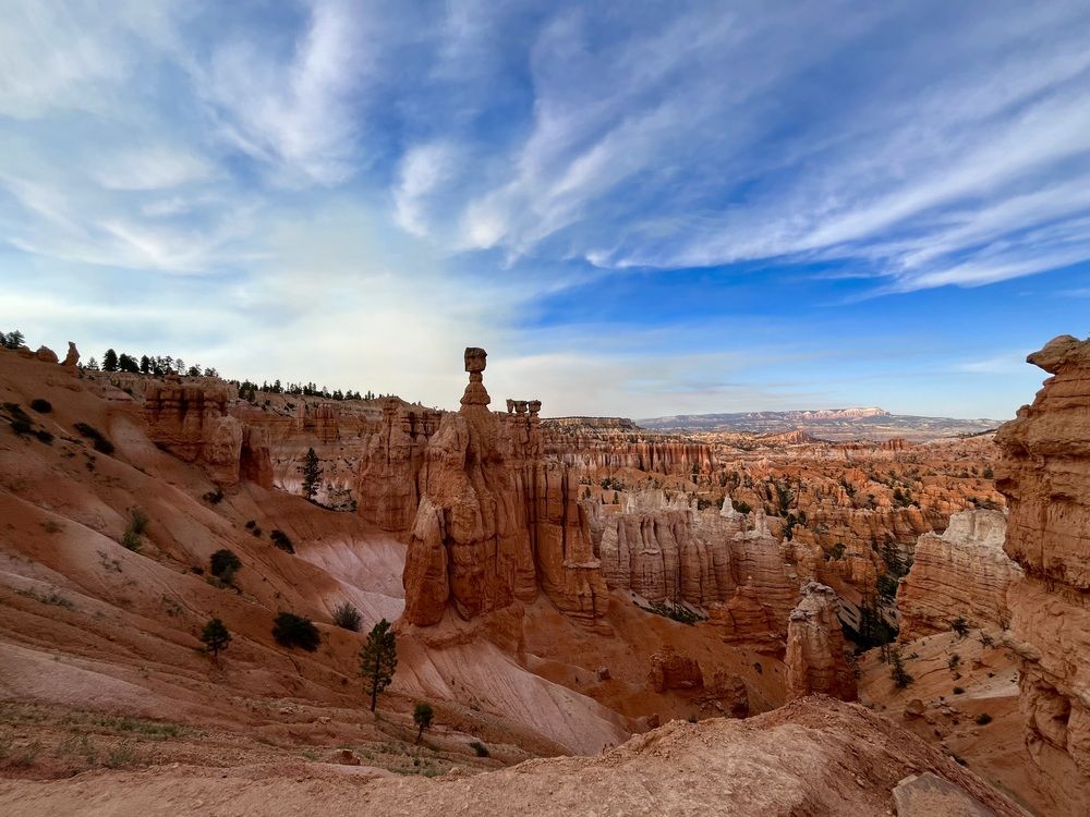 Photograph by Anna Kennedy