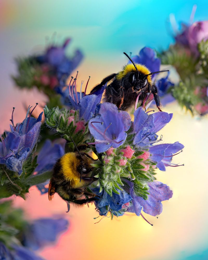 Фотография автора Маслова Любовь