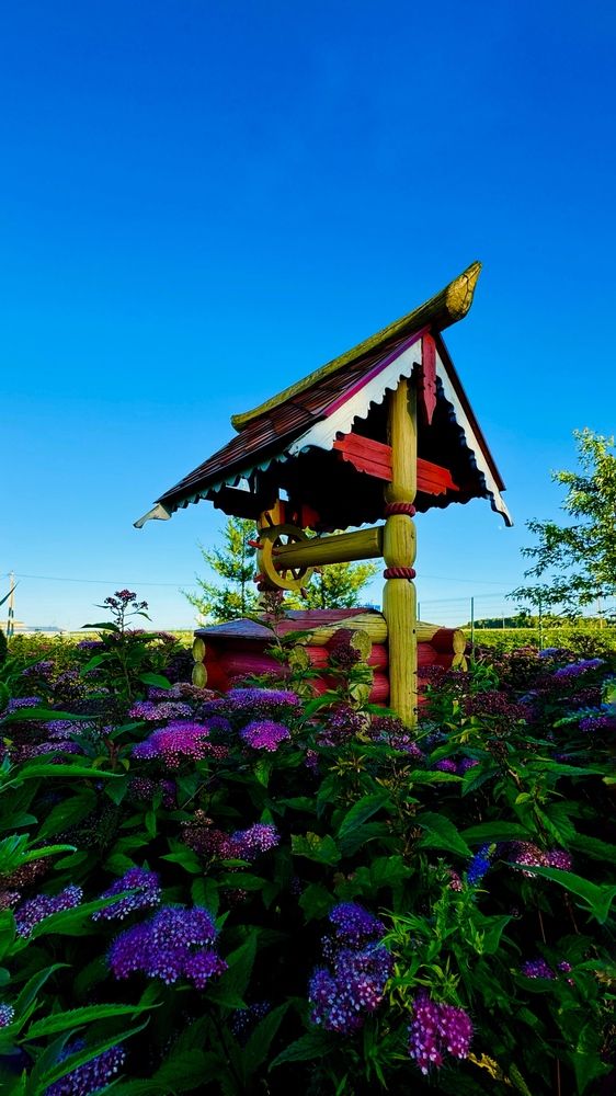 Photograph by Светлана Родионова