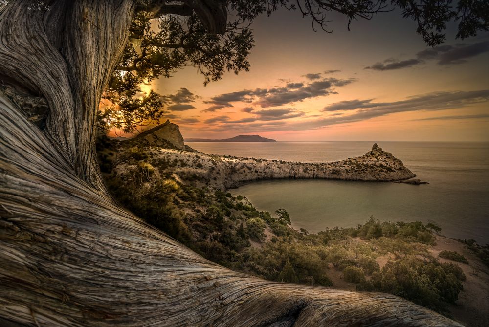 Photograph by Александр Разумов