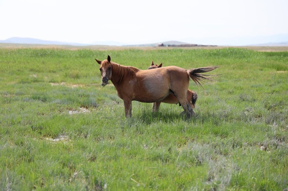 Photograph by Марина