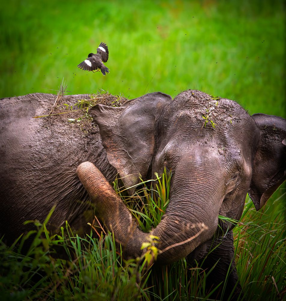 Photograph by Siddarth Sheri