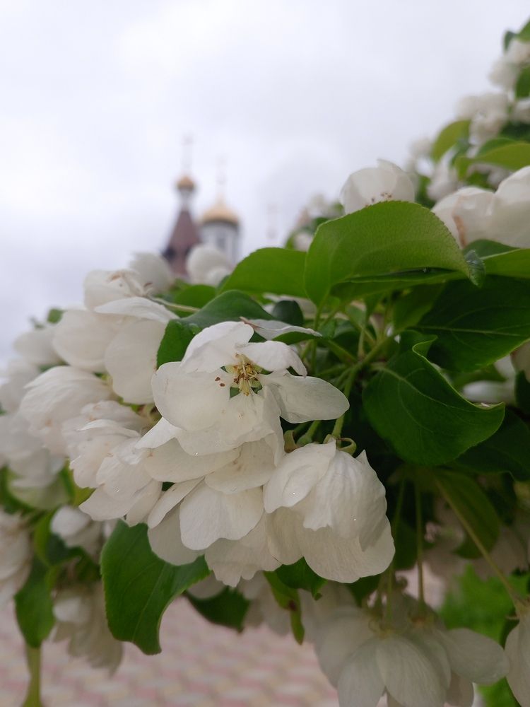 Photograph by Ирина Кортюкова