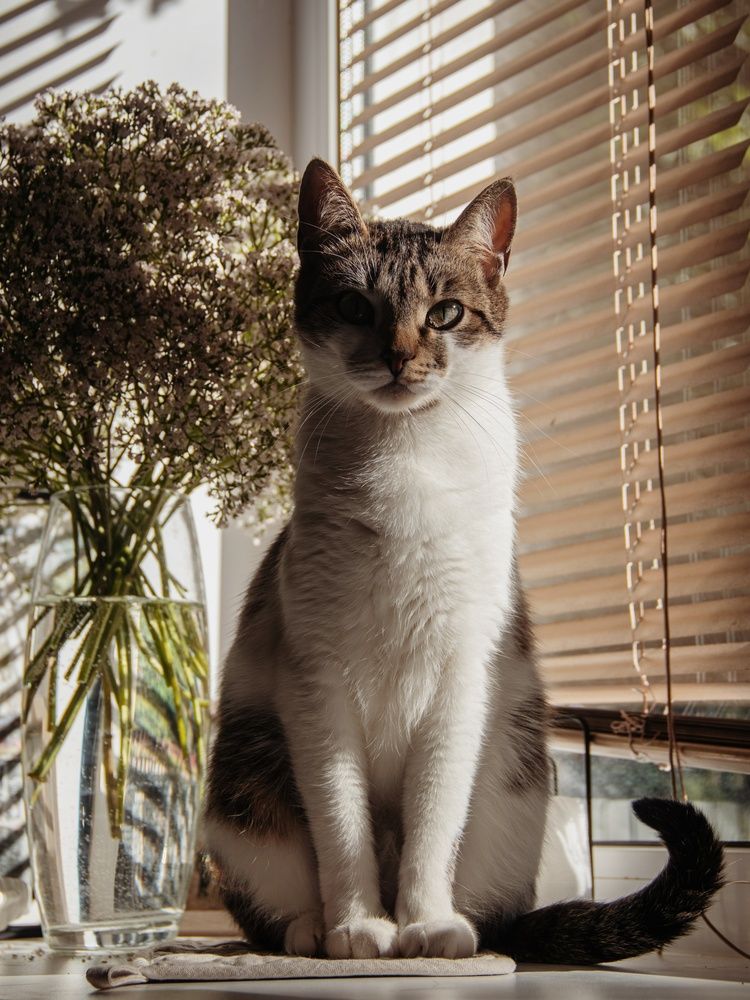 Photograph by Анна Любимова