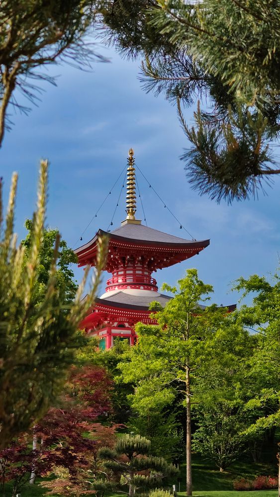 Photograph by Андрей Евтеев