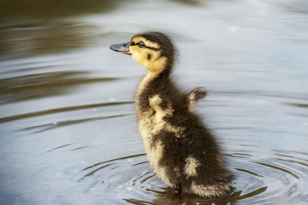 Photograph by Соколова Елена