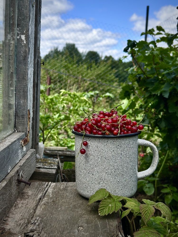 Photograph by Наталья Гусева