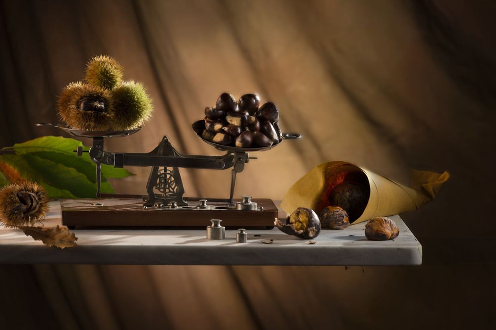 Photograph by Riccardo Moretti