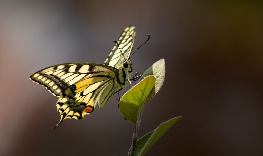 Photograph by Константин Искучеков