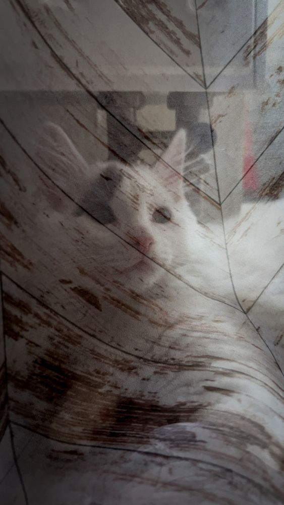 Photograph by Вячеслав Александров
