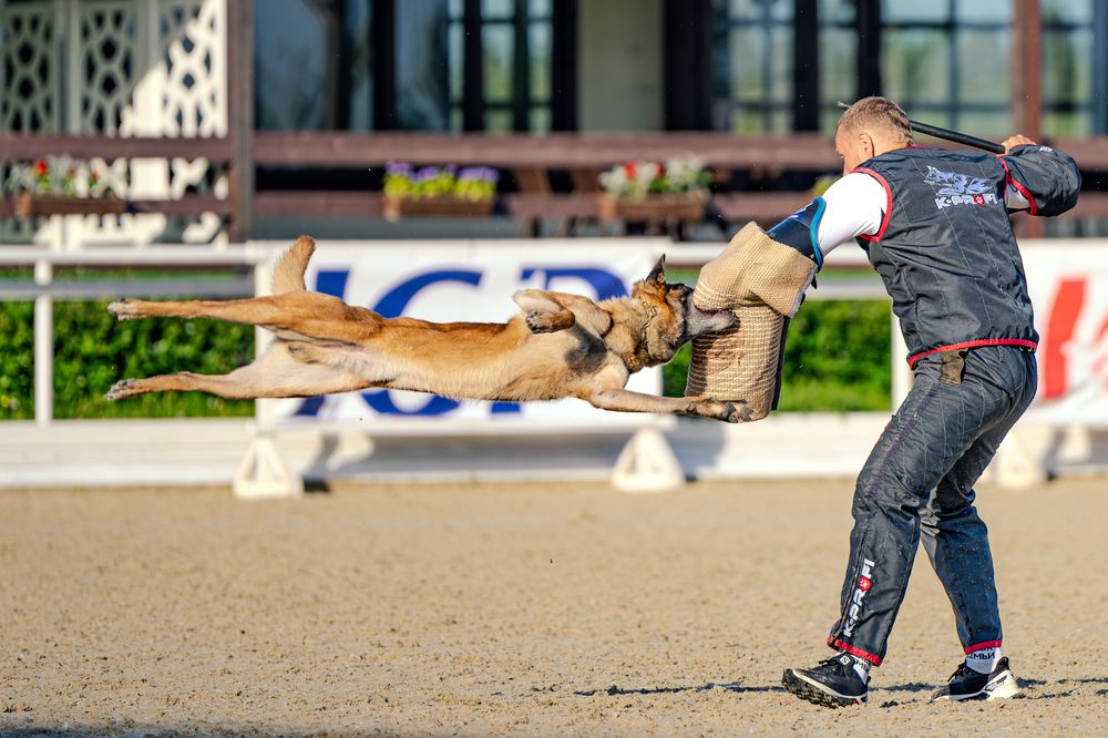 Photograph by Сергей Жиркевич