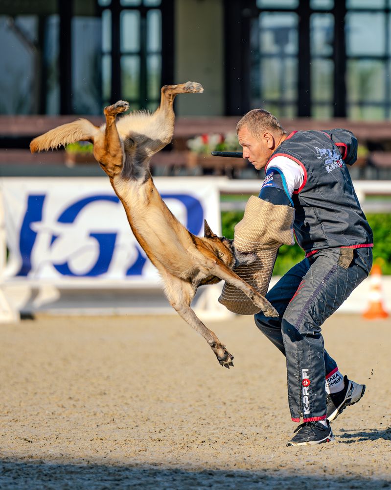 Photograph by Сергей Жиркевич