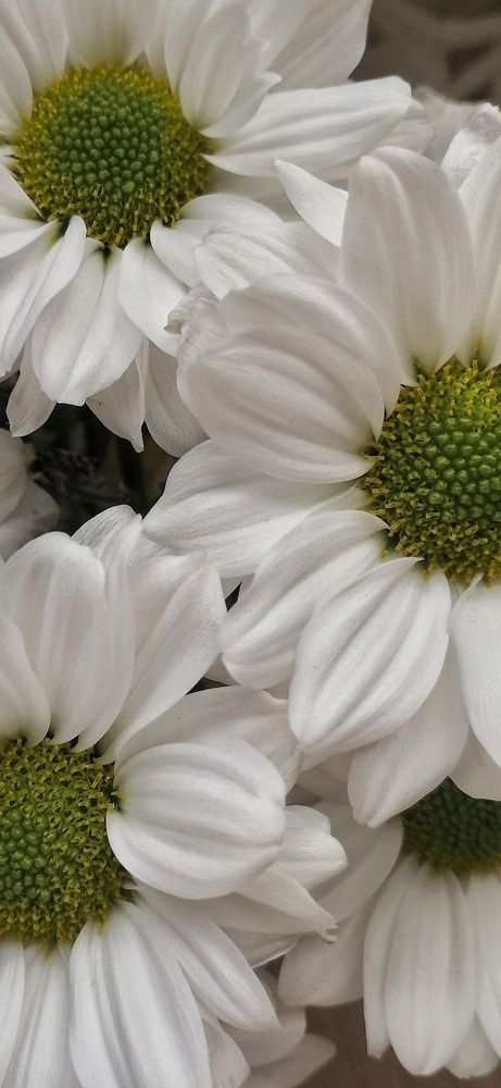 Photograph by Елена Сабирова
