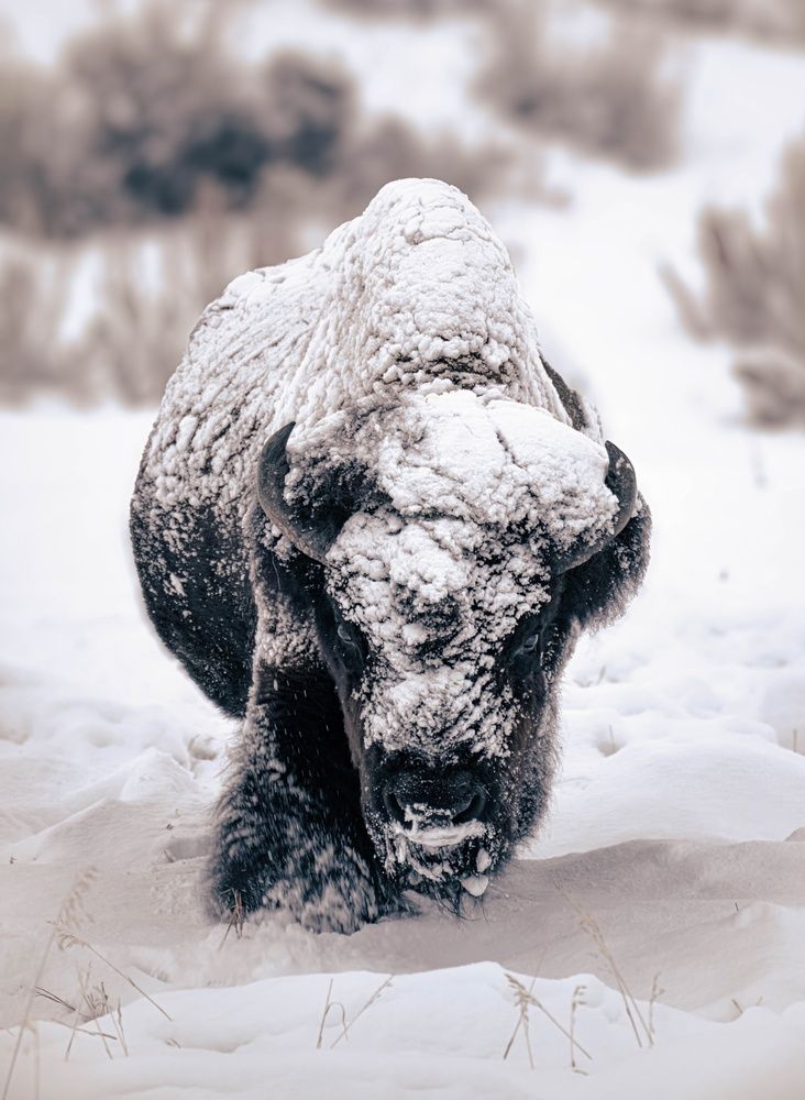 Photograph by Craig E Fraser
