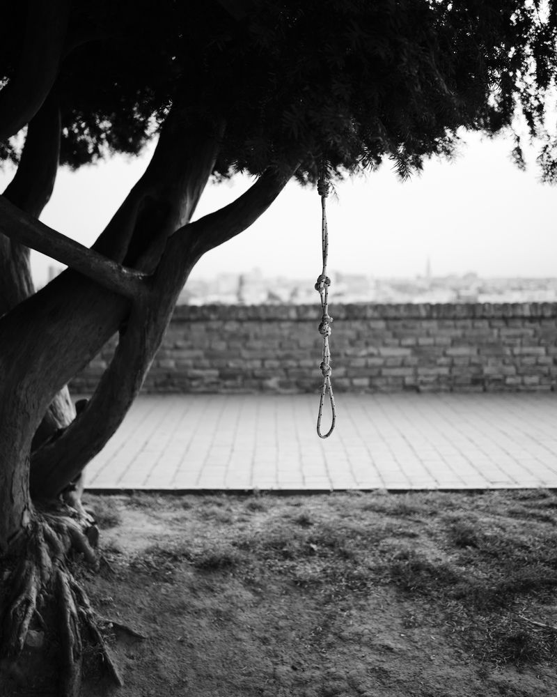 Photograph by Кирилл Залесский