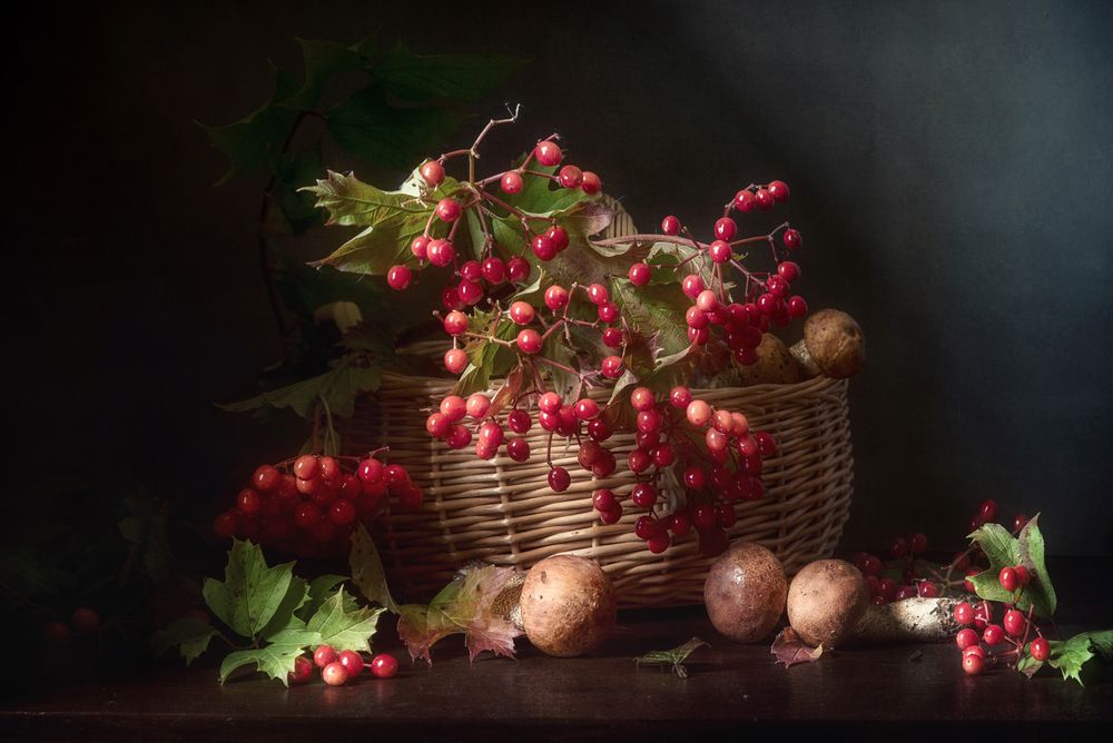 Photograph by Рюмина Ляля