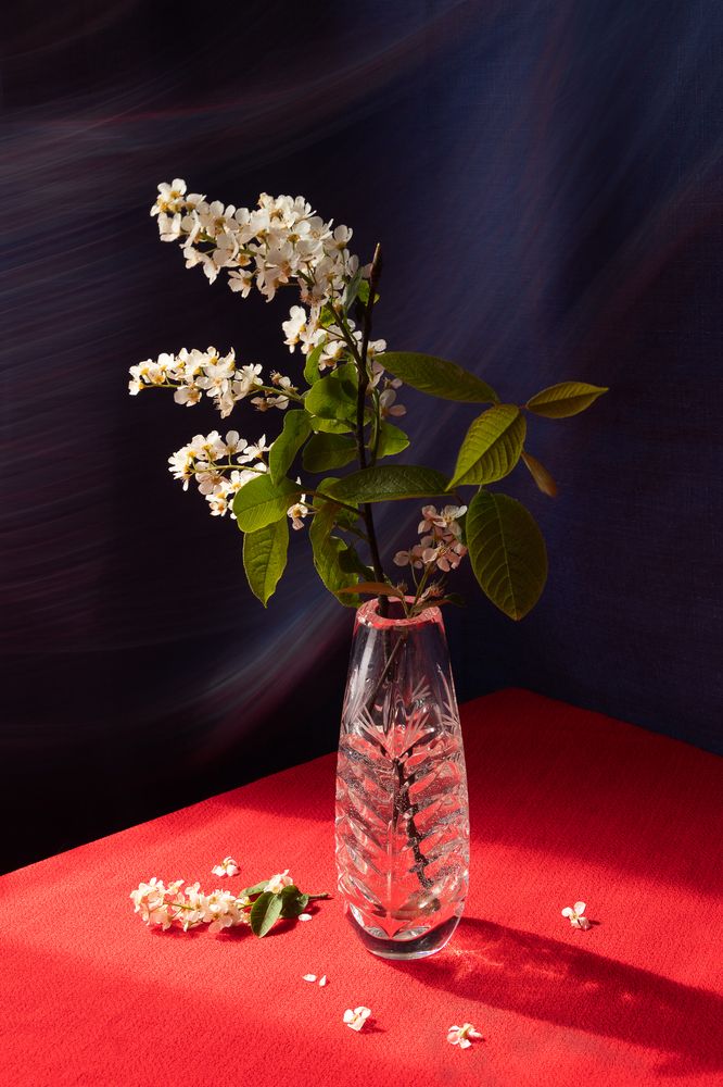 Photograph by Елена Коврижных