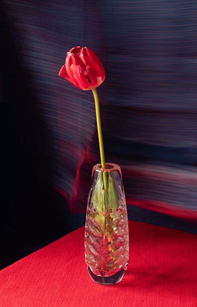 Photograph by Елена Коврижных