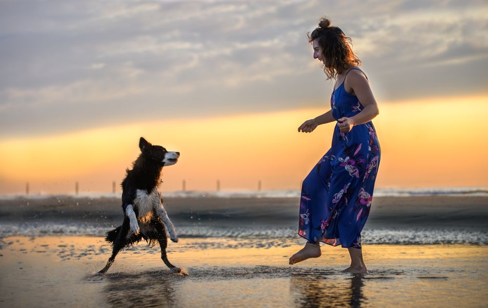 Photograph by Decoodt Els