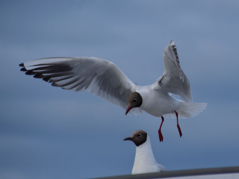 Photograph by Яна Щипицына