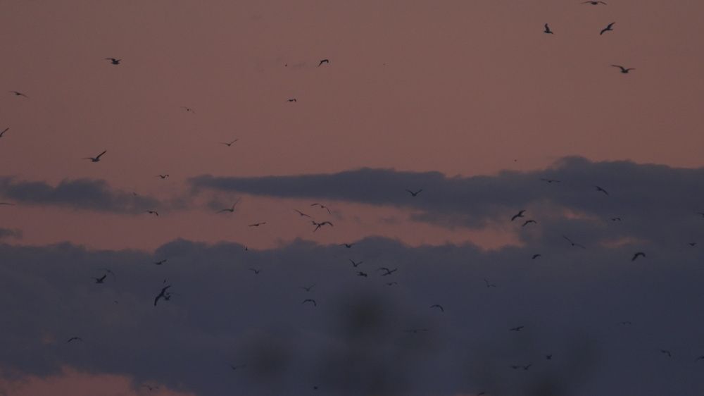 Photograph by Александр Климов