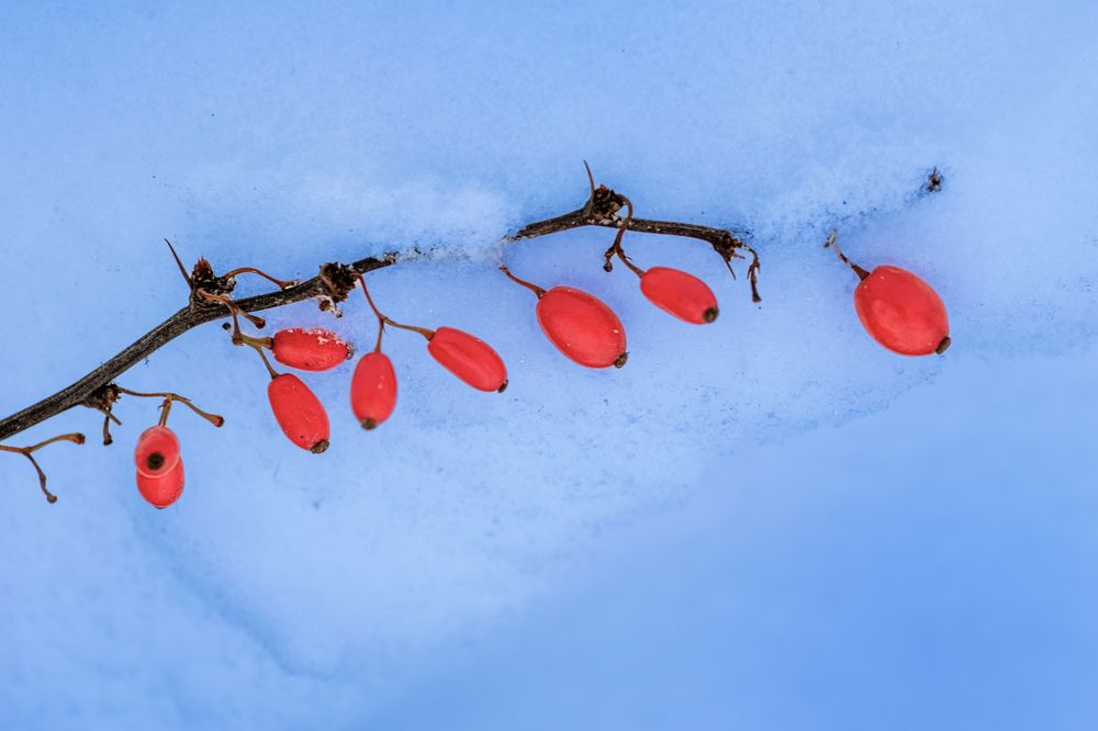 Photograph by Юлия Куликова