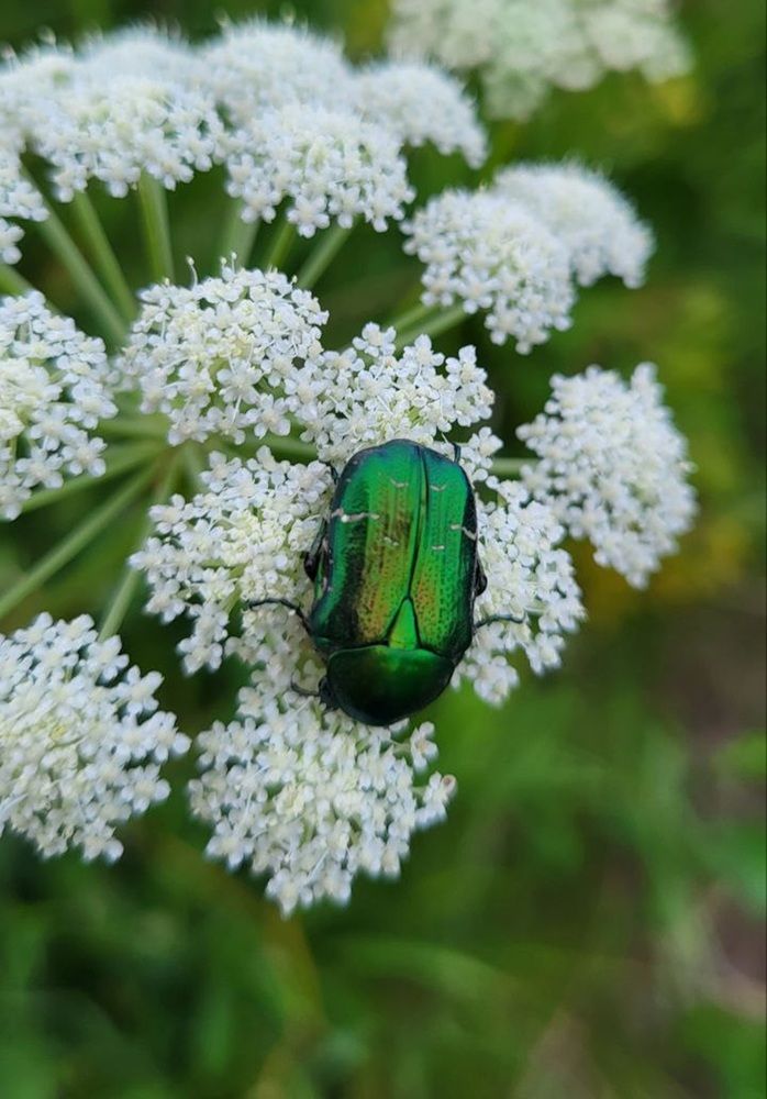 Photograph by Владимир Малёшин
