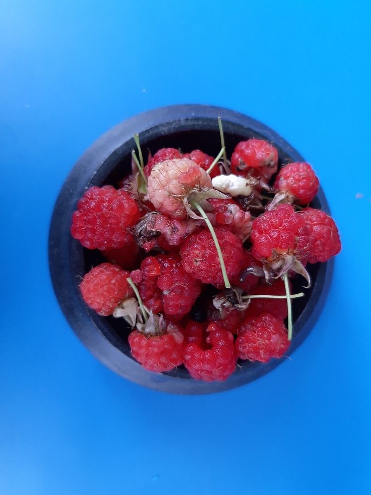 Photograph by Елена Ельчанинова