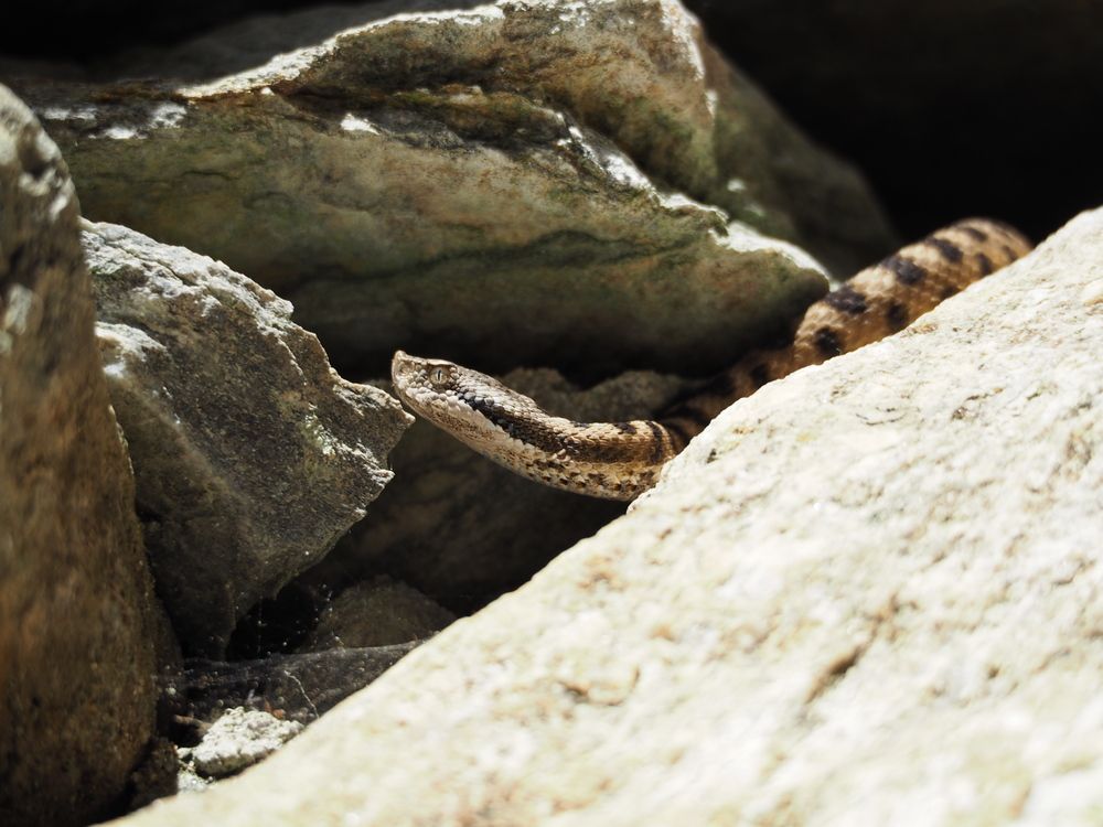 Photograph by Patrizia Bellotti