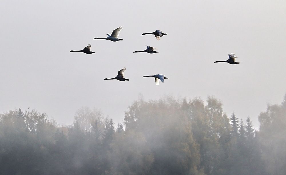 Photograph by Александр Лазебник