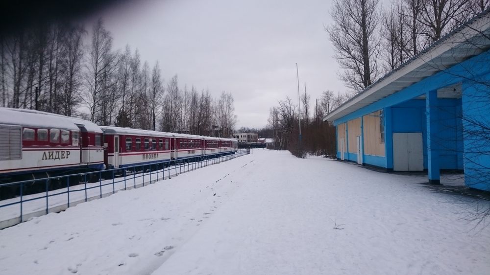 Photograph by Elena Shliachkova