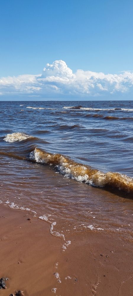 Photograph by Любовь Макарова