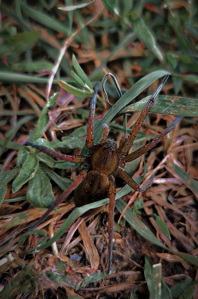 Photograph by Александр Житник