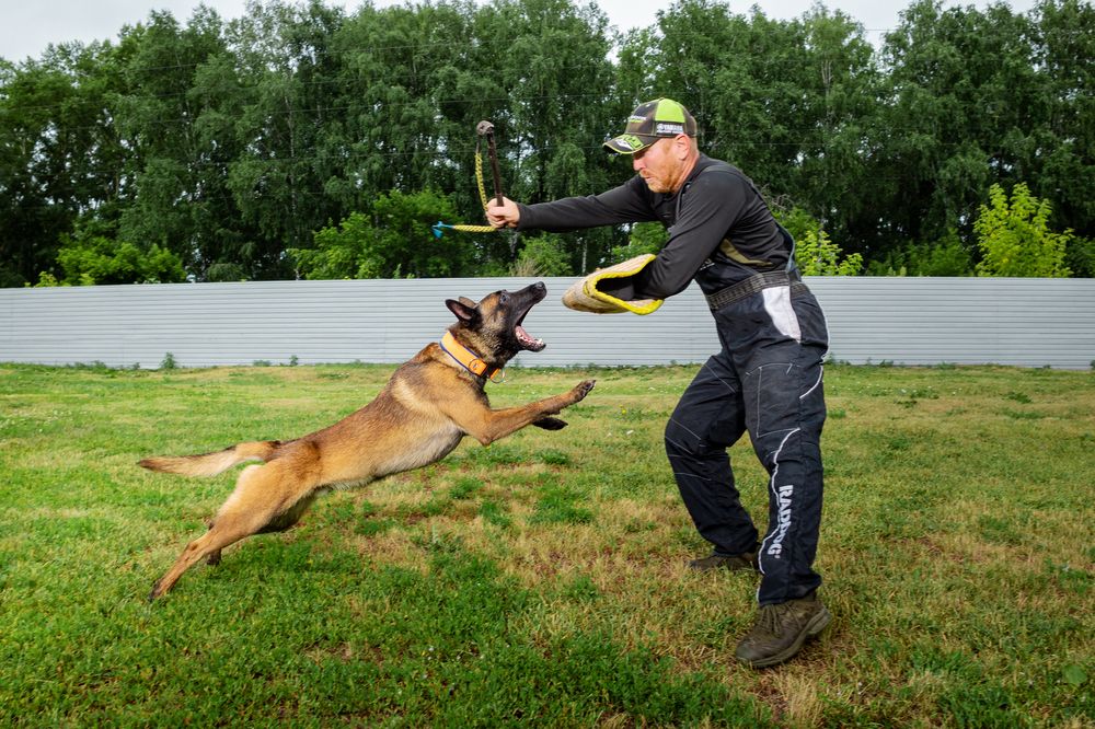 Photograph by Сергей Князев