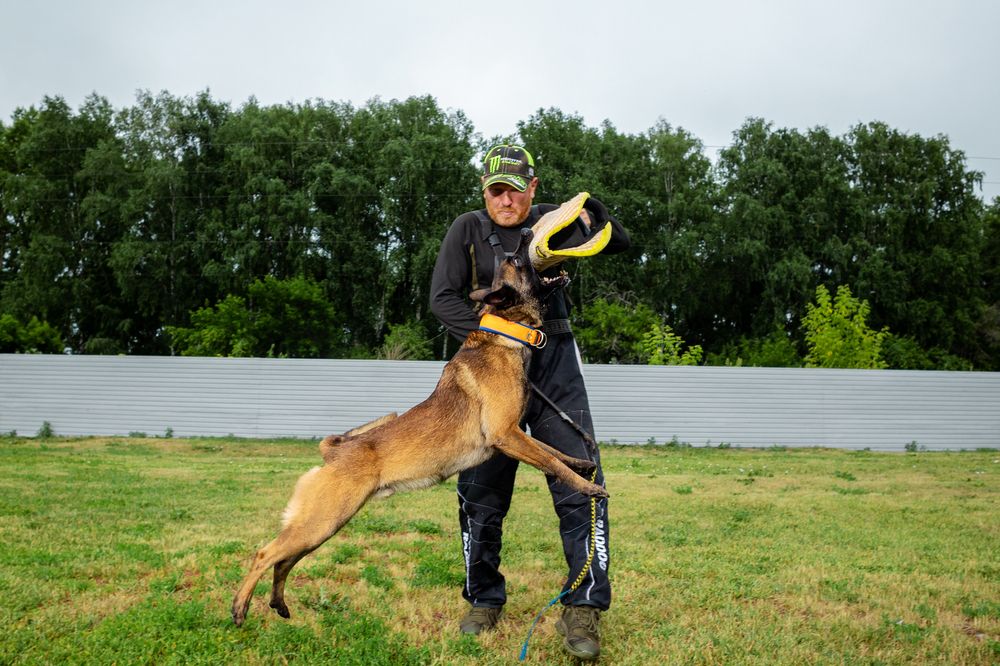 Photograph by Сергей Князев