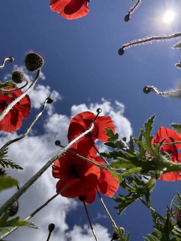 Photograph by Groznetskaya