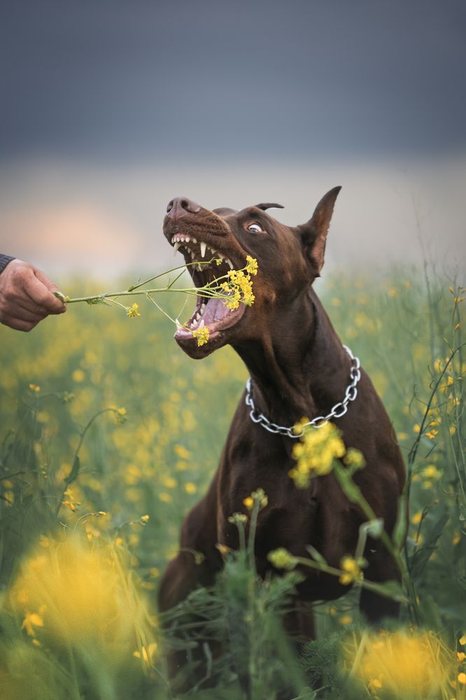 Photograph by Мария Клещенко
