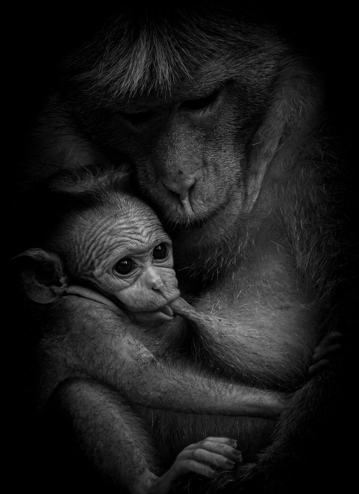 Фотография автора K.G.S.N.Samaraweera