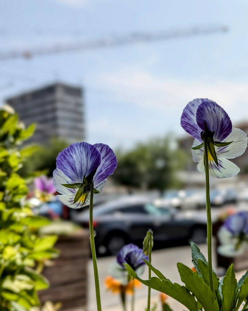 Photograph by Lilit Petrosyan