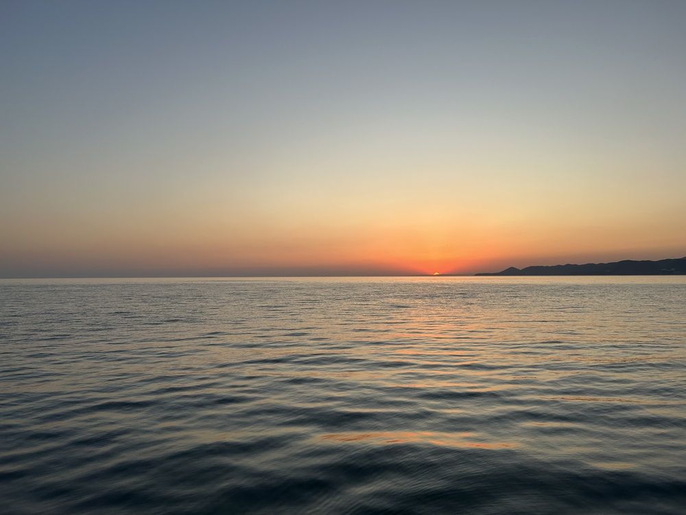 Photograph by Светлана