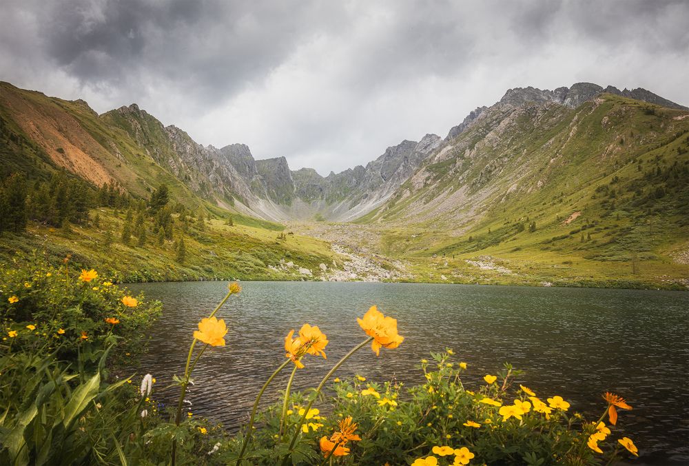 Photograph by Портных Дмитрий